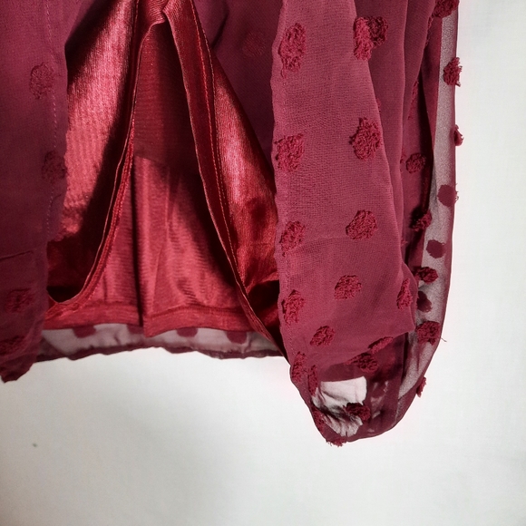 Shein Curve Plus Size 3XL Swiss Dot Top Blouse Size Burgundy Short Sleeve Lined - Picture 8 of 11